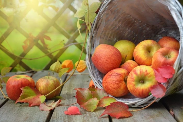Rote Äpfel als Ausgangsprodukt für eingekochte Apfelscheiben