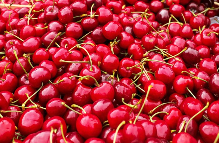 Frische rote Kirschen mit Stielen als Ausgangsprodukt zum Einkochen